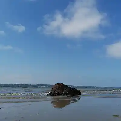 Picture for song '20240603_151855__fs' by artist '786 scheint-Al'lahs Bande'