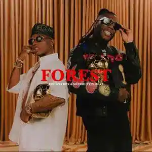 Picture for song 'Forest - Burna Boy x WizKid Type Beat' by artist 'AfroCosmicBoy'