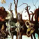 Picture for song 'The rhythym of floating swans (unreleased)' by artist 'Bird of habibaH'