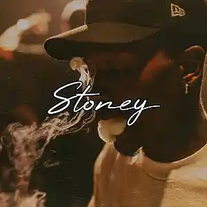 Picture for song 'Stoney (Free Download)' by artist 'Frankenstein Beats'