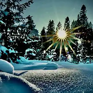 Picture for song 'Opus Hoaxes' by artist 'JimRoss'