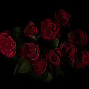 Picture for song 'Dark Roses (XXXtentacion x Lil Peep Type Beat)' by artist 'nightlifebeatz'