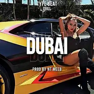 Picture for song 'flute drill type beat ny drill x uk drill' by artist 'Nt.meeb'