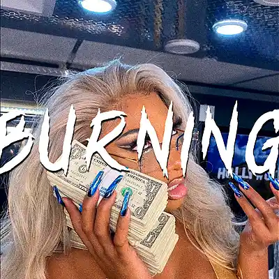 Picture for song 'Burning (Megan Thee Stallion type beat)' by artist 'RVSN beats'