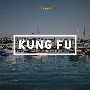 Picture for song 'Kung Fu **Futuristic R&B Banger**' by artist 'ThirtyEleven'