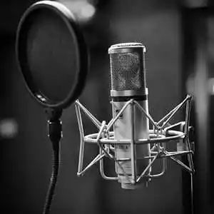 Picture for song 'Walk Em Down / BUY 1 GET 4 FREE' by artist 'Track Professionals'