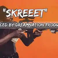 Picture for song 'Skreeet (Bankroll Fresh Style)' by artist 'Dreamnation Productionz'