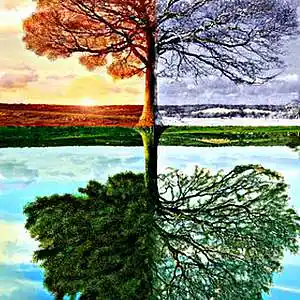 Picture for song 'SeaSons' by artist 'MZ Picasso'