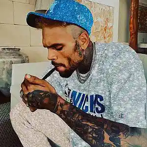 Picture for song 'TROPHY /Chris Brown/' by artist 'ShawtyChrisBeatz'
