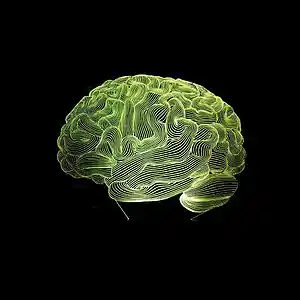 Picture for song 'NoIdentity' by artist 'StrifePeace'