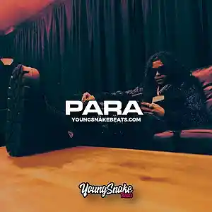 Picture for song '"PARA" - DD Osama x Kay Flock x NY Drill Type Beat' by artist 'Young Snake Beats'