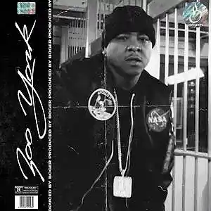 Picture for song 'Zoo York (Buy 1 get 1 Free)' by artist 'BOGER'
