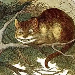 Picture for song 'HERE AGAIN' by artist 'Graham's Cat'
