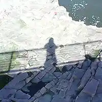 Picture for song 'Still Standing' by artist 'Jimi Sweeney'