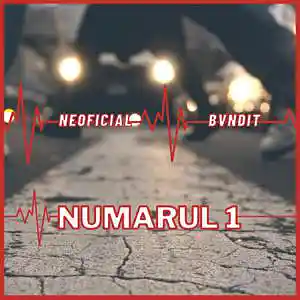 Picture for song 'Numarul 1 (feat. Bvndit)' by artist 'Neoficial'