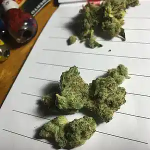 Picture for song 'truth trap music' by artist 'Sunkid Boppermen aka Truth Proof Dood'