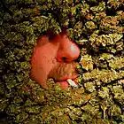 Picture for song 'Smoke It Up-free download' by artist 'TOP STAR BEATS'