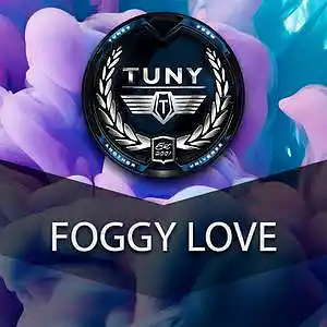 Picture for song 'Foggy Love' by artist 'Tuny Beats'