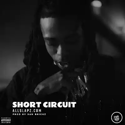 Picture for song 'SHORT CIRCUIT [daboii, babyfxce e, rio da yung og]' by artist 'Xan Brickz'