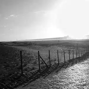 Picture for song 'Annika & Larsson - Dunes' by artist 'Nika Thyselius'