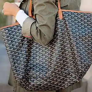 Picture for song 'goyard [lil uzi vert type beat]' by artist 'burnout beatz'