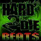 Picture for song 'Back N The Dayz' by artist 'Hard 2 Die Beats'