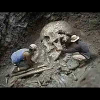 Picture for song '#Nephilim TuToneBeats x Heightz' by artist 'Heightz'