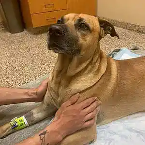 Picture for song 'Clutch' by artist 'Jammer59'