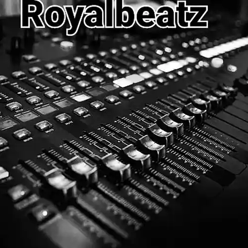Picture for song 'The push' by artist 'RoyalBeatzz'