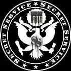 Picture for song 'Reputation (FOR SALE! AIM - SecretServiceIM)' by artist 'Secret Service'