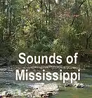 Picture for song 'Dunns Falls Base June 2010' by artist 'Sounds of Mississippi'