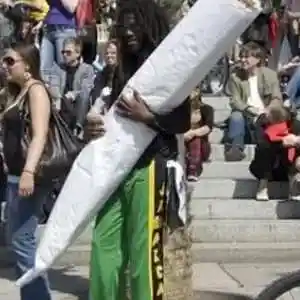 Picture for song 'Ras star-Big Spliff audio' by artist 'STARRAS'