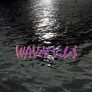 Picture for song 'shutter X' by artist 'waveyvibesmusic'