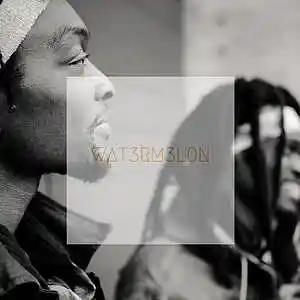 Picture for song 'HOOD RAP - BUY 1 GET 1 FREE' by artist 'WAT3RM3L0N'