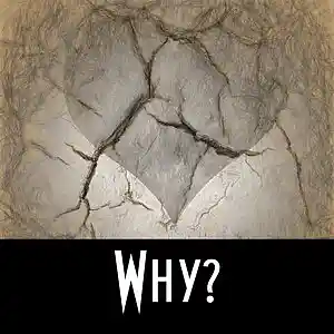Picture for song 'Why?' by artist 'Yavor Parvanov'