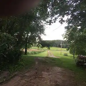 Picture for song 'Lemmings and The Tide' by artist 'AuDioChosis - Steven F. Allen - AuDio MiRage'