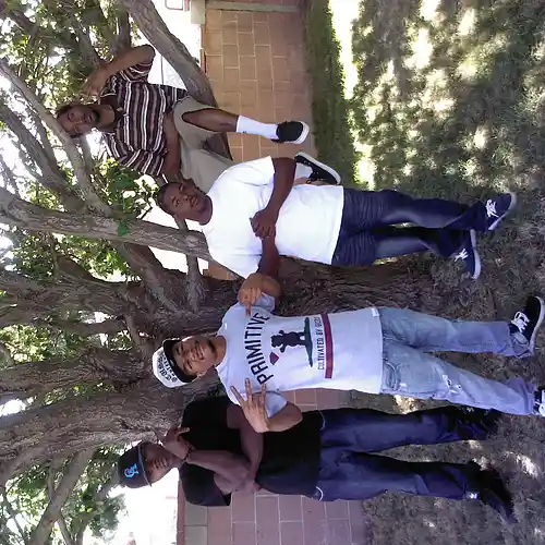 Picture for song 'f*** wit' by artist 'Cali Blu'