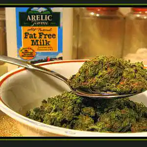 Picture for song 'Amnesia haze' by artist 'DOPE AND FRESH'