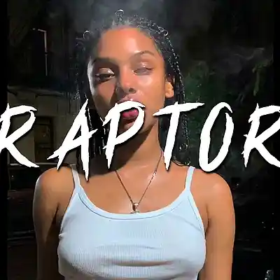 Picture for song 'Raptor (Freestyle type beat)' by artist 'RVSN beats'