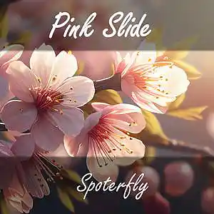 cover pic