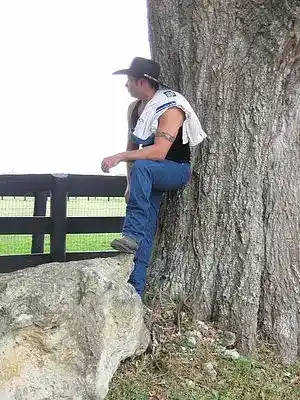 Picture for song 'place for rent' by artist 'truce allen'