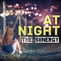 Picture for song 'At Night * Drake * FREE DL' by artist 'The Siinergy'