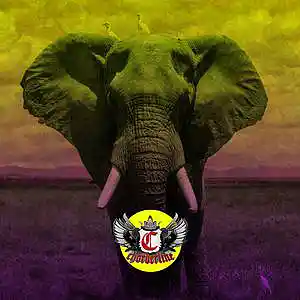 Picture for song 'ELEPHANT (Post Malone Tyla Yaweh Type Beat)' by artist 'Chorderline'