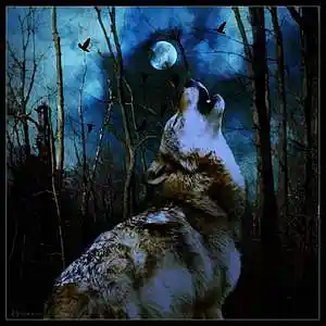 Picture for song 'no light' by artist 'Doc l'artist'