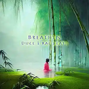 Picture for song 'Breathin - Upbeat Guitar Vibe' by artist 'Duce I Rae Beats'