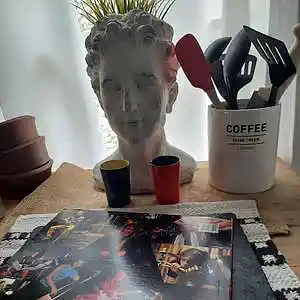 Picture for song 'Mary Street Vinyl: The Police' by artist 'paul gorman and the hypnotist collectors'