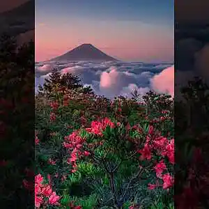 Picture for song 'Seasons (prod. Vichle)' by artist 'Vichle'