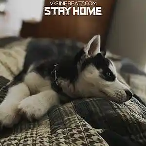 Picture for song 'Stay Home (Buy 1 Get 1-3 FREE)' by artist 'V-Sine Beatz'