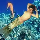 Picture for song 'New Horizon' by artist 'William Read'