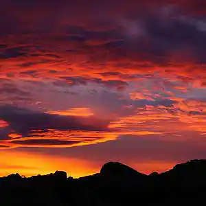 Picture for song 'Horizon - 163 bpm @BloodyBastion' by artist 'BloodyBastion'